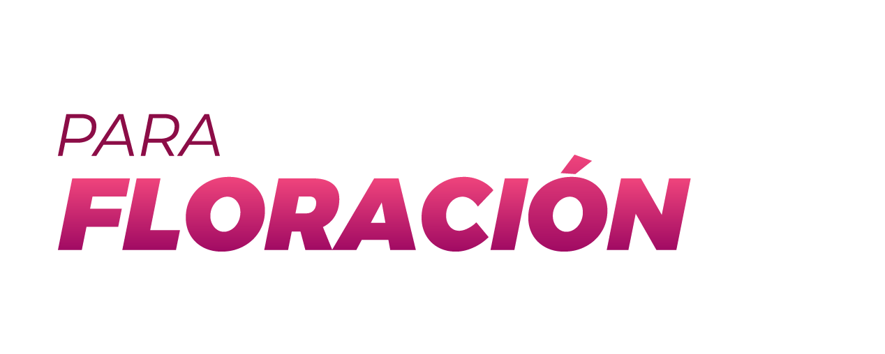 Logotipo de la empresa